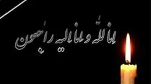 شهادت دو ورزشکار دیگر در جریان حملات دشمن