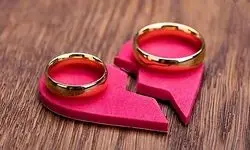 خانم مهندس به شوهر بازاری‌اش / دیگر نمی‌توانم با مدرک دیپلمت کنار بیایم!