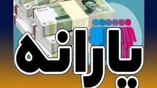یک میلیون ایرانی مقیم خارج از کشور یارانه دریافت می‌کنند