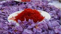 زعفران قاچاق نشده ولی موجودی انبارها کم است