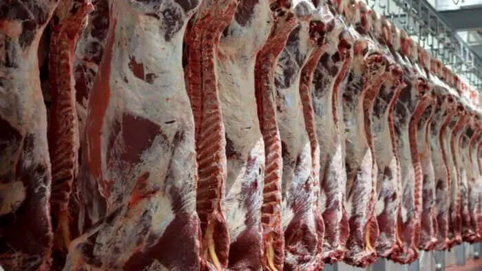 افزایش ۲۸ درصدی مقدار عرضه گوشت قرمز در کشتارگاههای رسمی