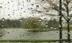 بارندگی و رعد و برق در ۱۳ استان/ وزش باد شدید در ۱۷ استان