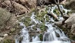  مردمی که از آب حاجت می گرفتند