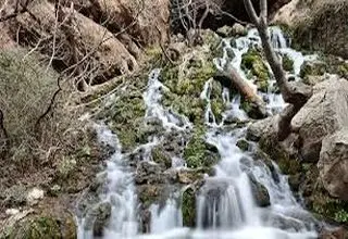  مردمی که از آب حاجت می گرفتند