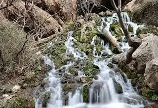  مردمی که از آب حاجت می گرفتند
