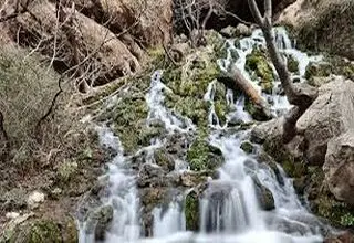 مردمی که از آب حاجت می گرفتند