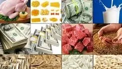 نامه یک تشکل دانشجویی به پزشکیان درباره حذف ارز ترجیحی