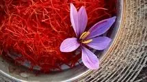 روند افزایشی صادرات زعفران در آستانه ماه مبارک رمضان؛ قیمت ۲۰۰ تا ۲۰۳ میلیون تومان