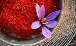 روند افزایشی صادرات زعفران در آستانه ماه مبارک رمضان؛ قیمت ۲۰۰ تا ۲۰۳ میلیون تومان