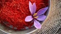 روند افزایشی صادرات زعفران در آستانه ماه مبارک رمضان؛ قیمت ۲۰۰ تا ۲۰۳ میلیون تومان