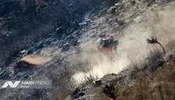 آخرین وضعیت جنگل الیت/ آتش در کنترل است اما کامل اطفا نشده