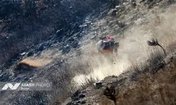 ادامه عملیات اطفای حریق جنگل‌های الیت+ فیلم