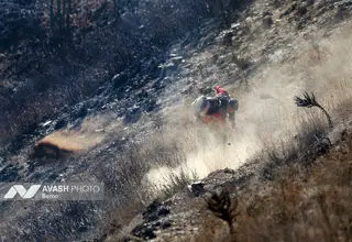 آخرین وضعیت جنگل الیت/ آتش در کنترل است اما کامل اطفا نشده