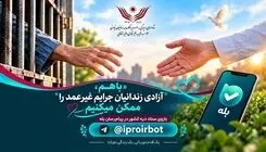 ستاد مردمی دیه کشور بیانیه داد 