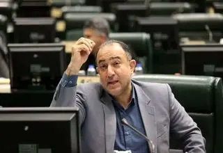 سکوت نماینده مجلس درباره اعلام هویت فرد پیشنهاد دهنده حذف کلمه «خشونت» از لایحه منع خشونت علیه زنان 