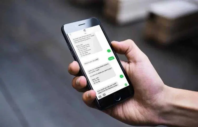 پیام اشتباهی زن متاهل، راز جنایت خیانتآلودش را برملا کرد
