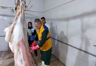 تب کنگو در کمین است