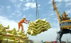 سونامی در بازار برنج 