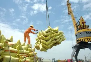 سونامی در بازار برنج 