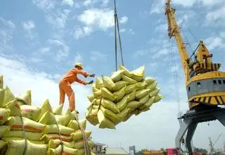 سونامی در بازار برنج 