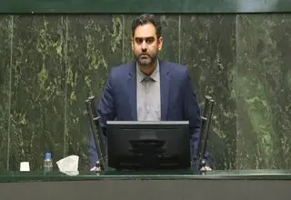 ثابتی: استیضاح وزیر اقتصاد برای جلوگیری از گرانی ارز ضروری است