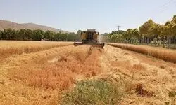 حدود ۴۲ همت دیگر به گندم‌کاران پرداخت شد