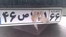 رانندگان این خودروها به شدت نقره‌داغ شدند
