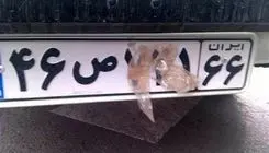 تشدید برخورد با تخلفات پلاک در تهران