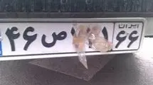 برخورد قاطع پلیس با تخلفات پلاک خودرو