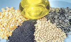 آغاز ثبت سفارش فصل زمستان دانه‌های روغنی