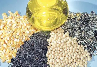 آغاز ثبت سفارش فصل زمستان دانه‌های روغنی