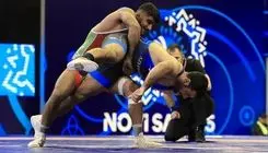 غلامرضا فرخی برترین فرنگی کار جهان شد