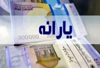 کالابرگ برای ۸۰ میلیون نفر؛ یارانه فقط صرف ۱۱ کالای اساسی می‌شود