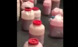 لحظه دستگیری علی شادمان با زهرماری+ویدئو