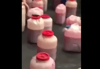 لحظه دستگیری علی شادمان با زهرماری+ویدئو