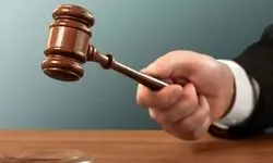 برگزاری دادگاه محیط‌بان کرمانی