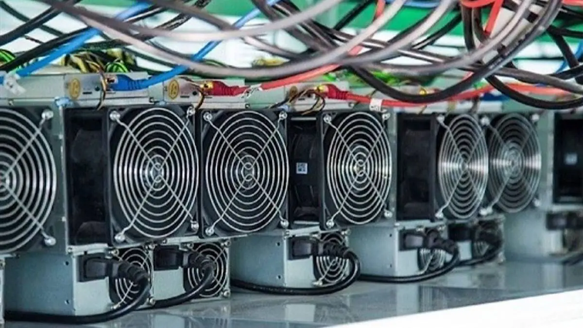 پاداش ۲۰۰ میلیون تومانی برای سوتزنان استخراج غیرمجاز رمزارز